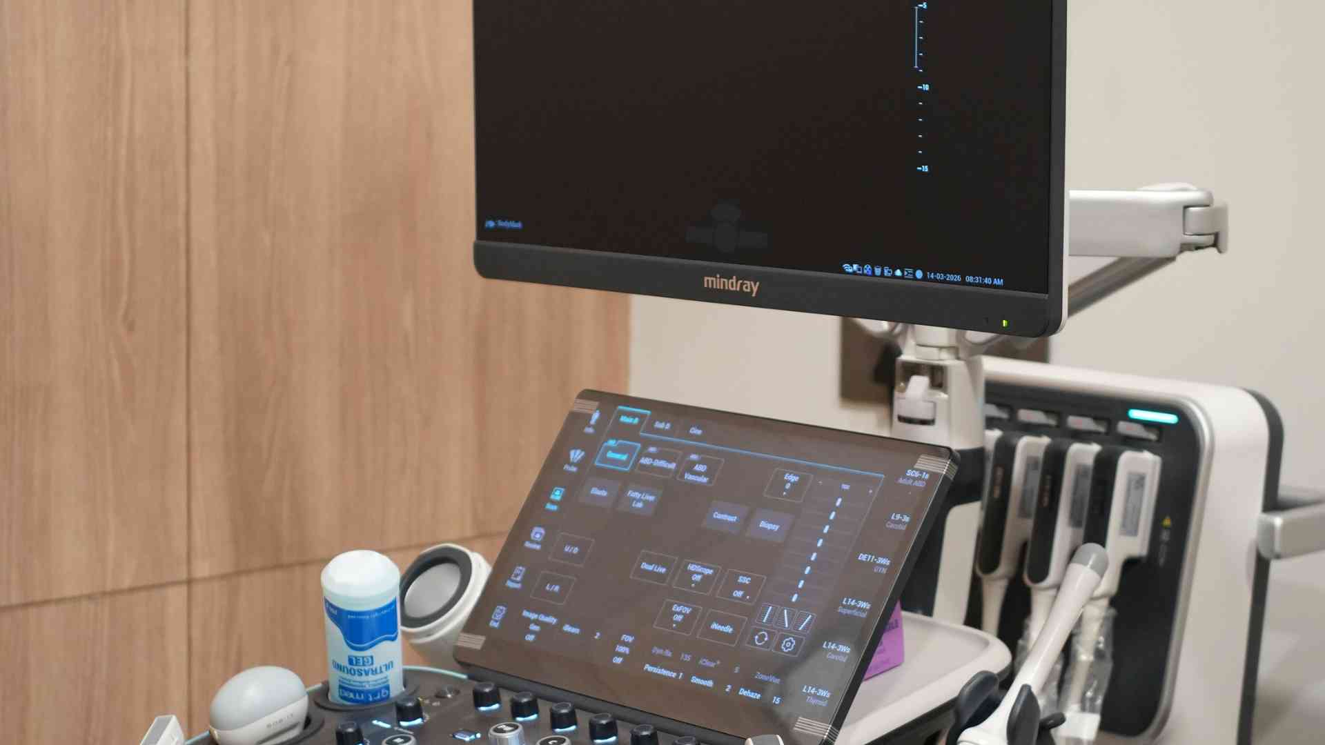 Doctor and patient consultation